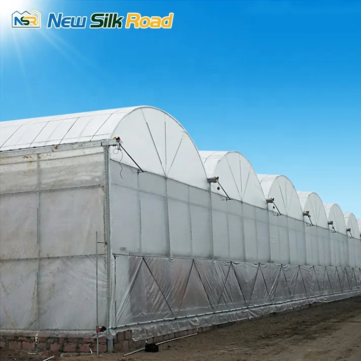 NSR Greenhouse Economical Plastic Agriculture Tunnel Greenhouse hydroponic greenhouse systems with solar