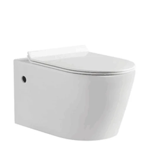 Hot selling sanitary ware bathroom wall-hung toilet/ wall hanging toilet 103N
