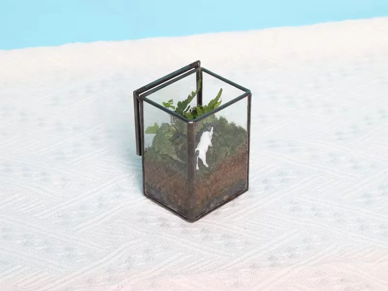 Hot Seller Preserved Moss Terrarium Metal Vessel with Glass