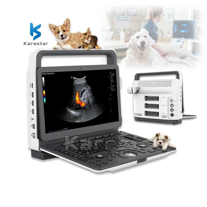 K-C600 Vet 3d 4d цветной допплер с 3 зондовыми гнездами 15 6 дюймов экран экограмма ветеринарный Цветной Допплер ультразвуковой портативный