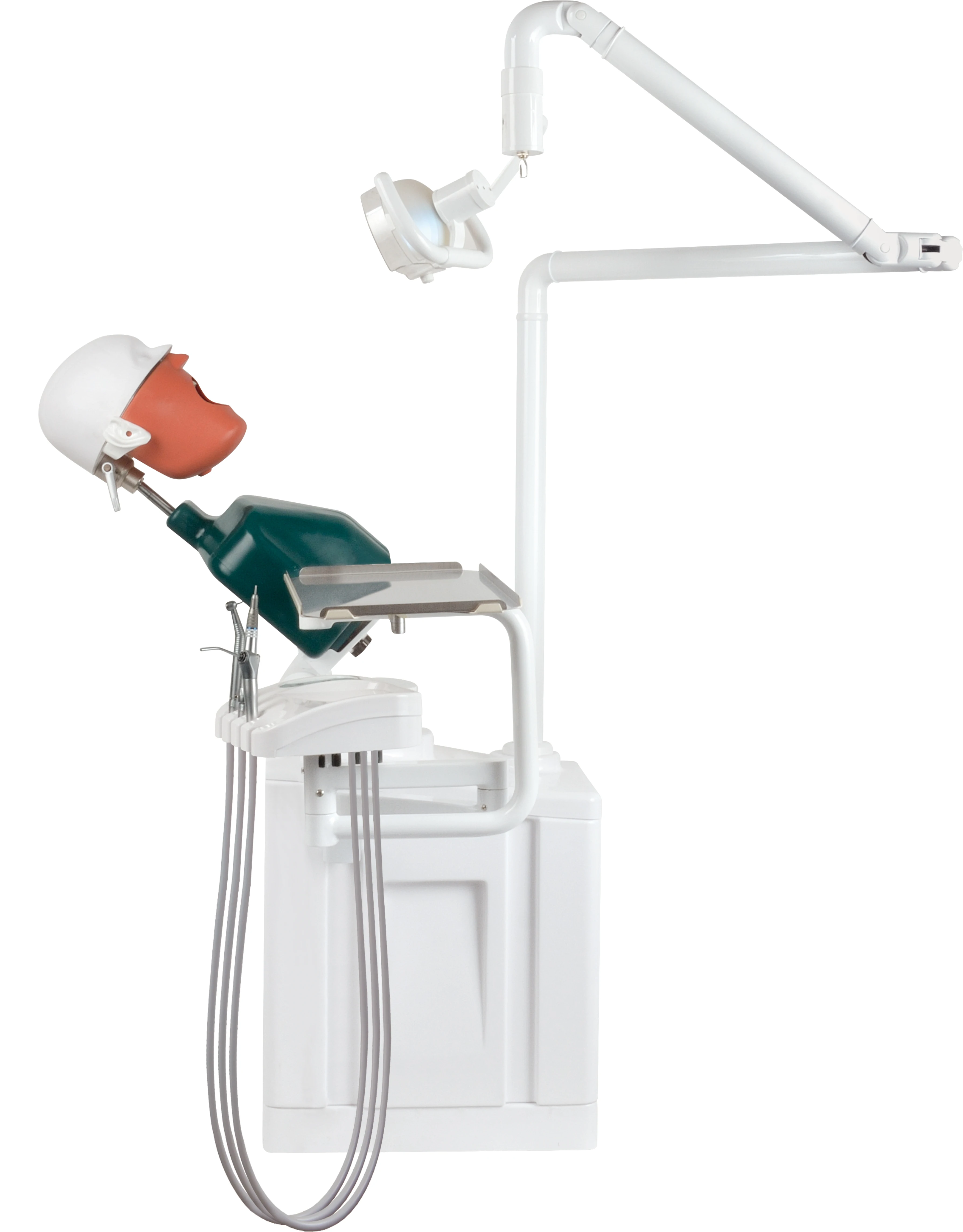 Dental Simulator Manikin Phantom Head Model with 360-Degree Adjustment Resin Teeth Plastic Metal Steel Training Model