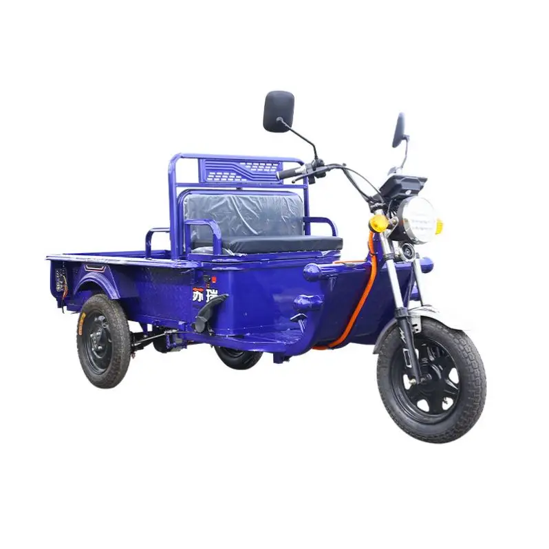 Electric Kit Enclosed Bike 300Cc Mobility Scruter Brick Closed Deliveryman Front Basket Baby Boys Passenger Eggs Cargo Tricycle