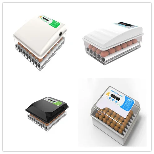 family use 24 eggs full automatic  mini incubator with roller egg tray