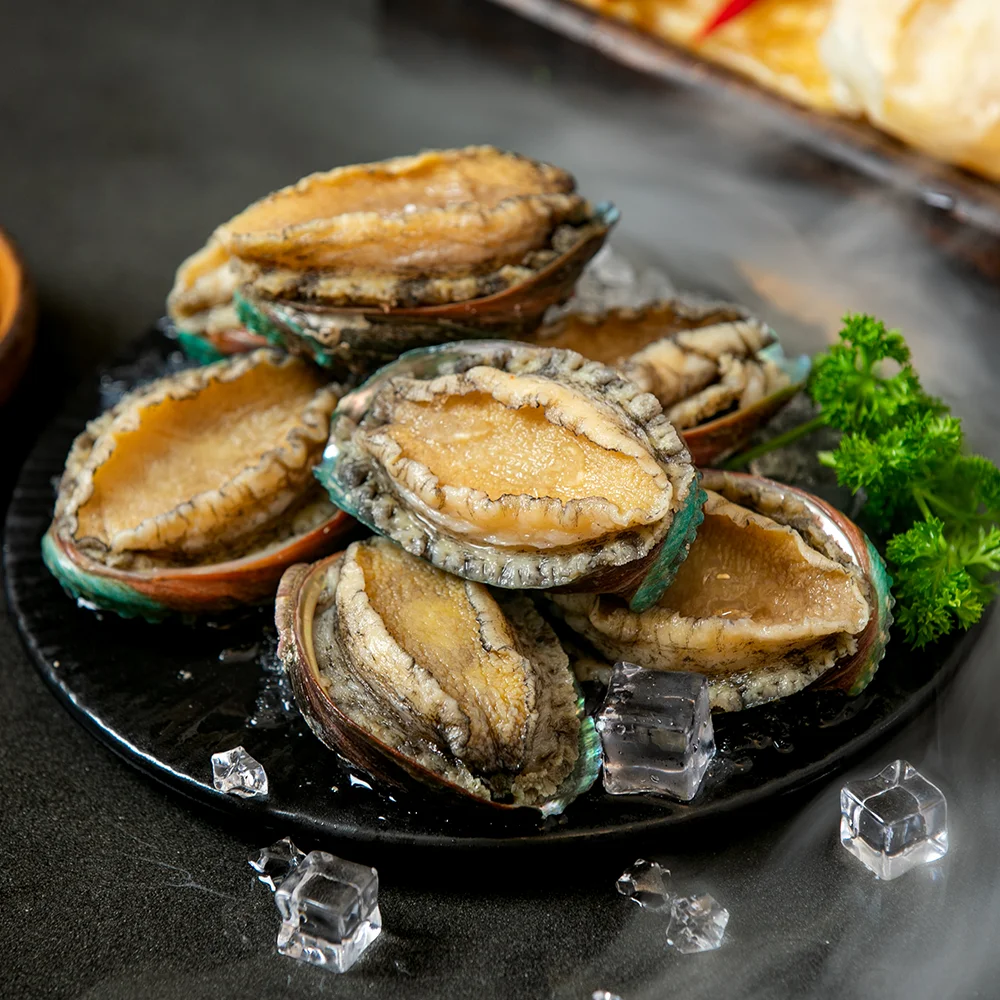 
Captain Jiang FROZEN ABALONE IN SHELL 70-80g/PCS FOR SALE 