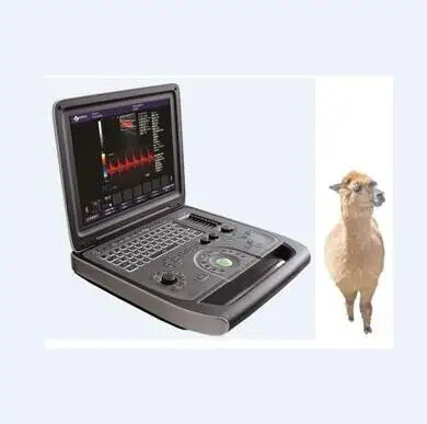 DU8-M1V factory cheap Price animal Color Doppler portable Ultrasound machine laptop for veterinary
