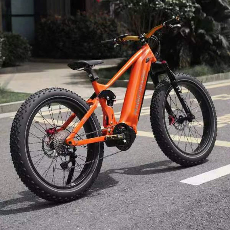 mtb ebike.jpg
