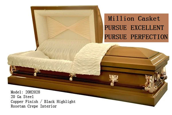 20H2028.png