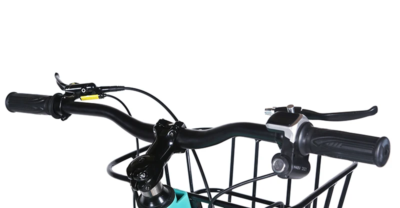 Electric fat tire bicycle 2022 electric bicycle 48V 15ah 750W battery electric city urban travel bicycle Fat Electric Bike