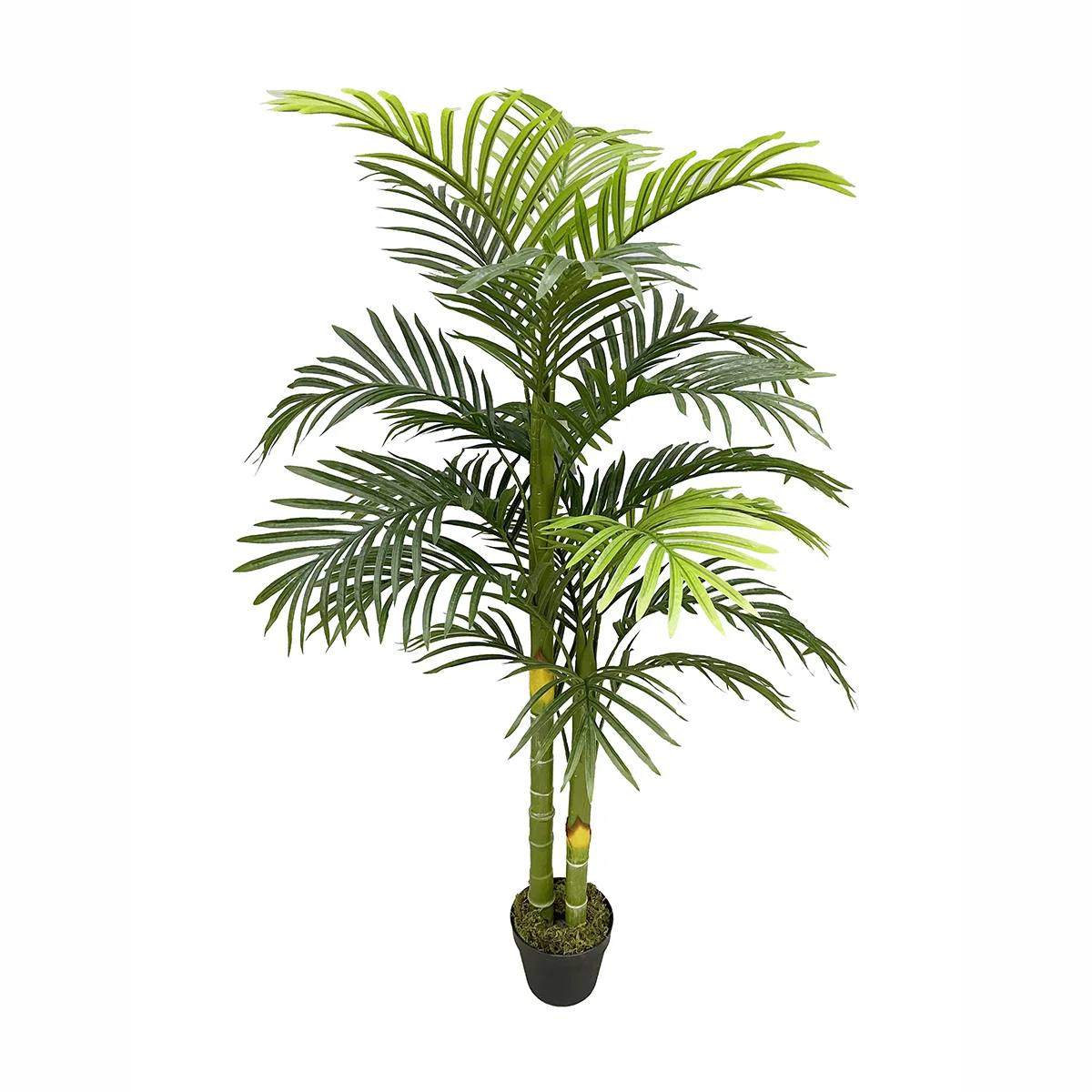Small Fake Indoor Outdoor Bend Artificial Coconut Palm Tree Plants Look Real 6FT Fake Plant in Plastic Nursery Pot