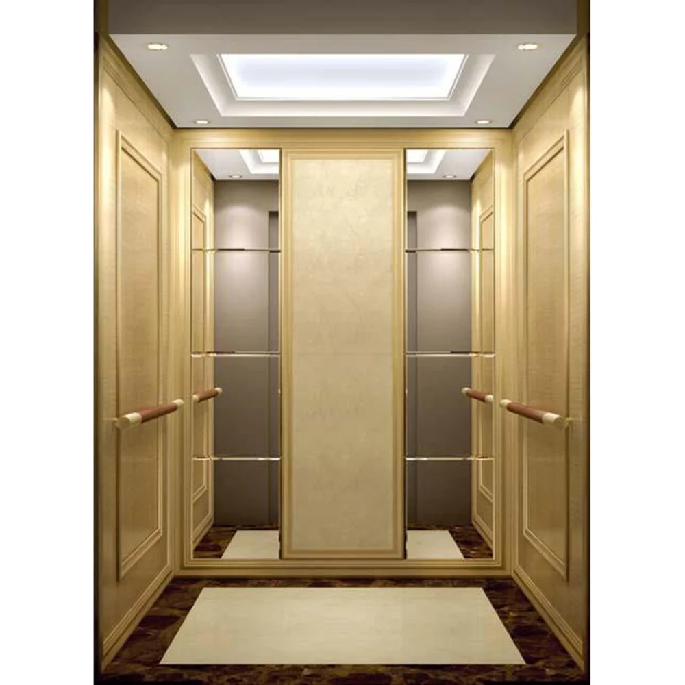 Hydraulic Passengers Elevator Business Style Building Office Passenger Elevator