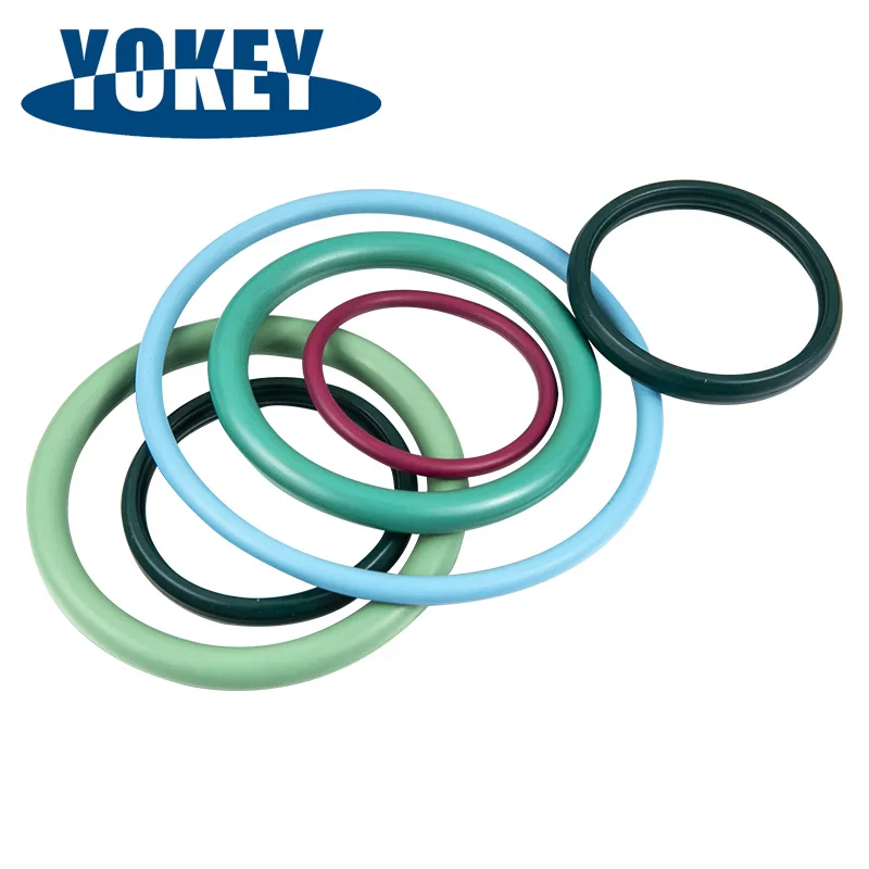 Industrial Rubber Seal PTFE NBR EPDM O RING/Gasket Sealing PTFE Encapsulated O-Ring