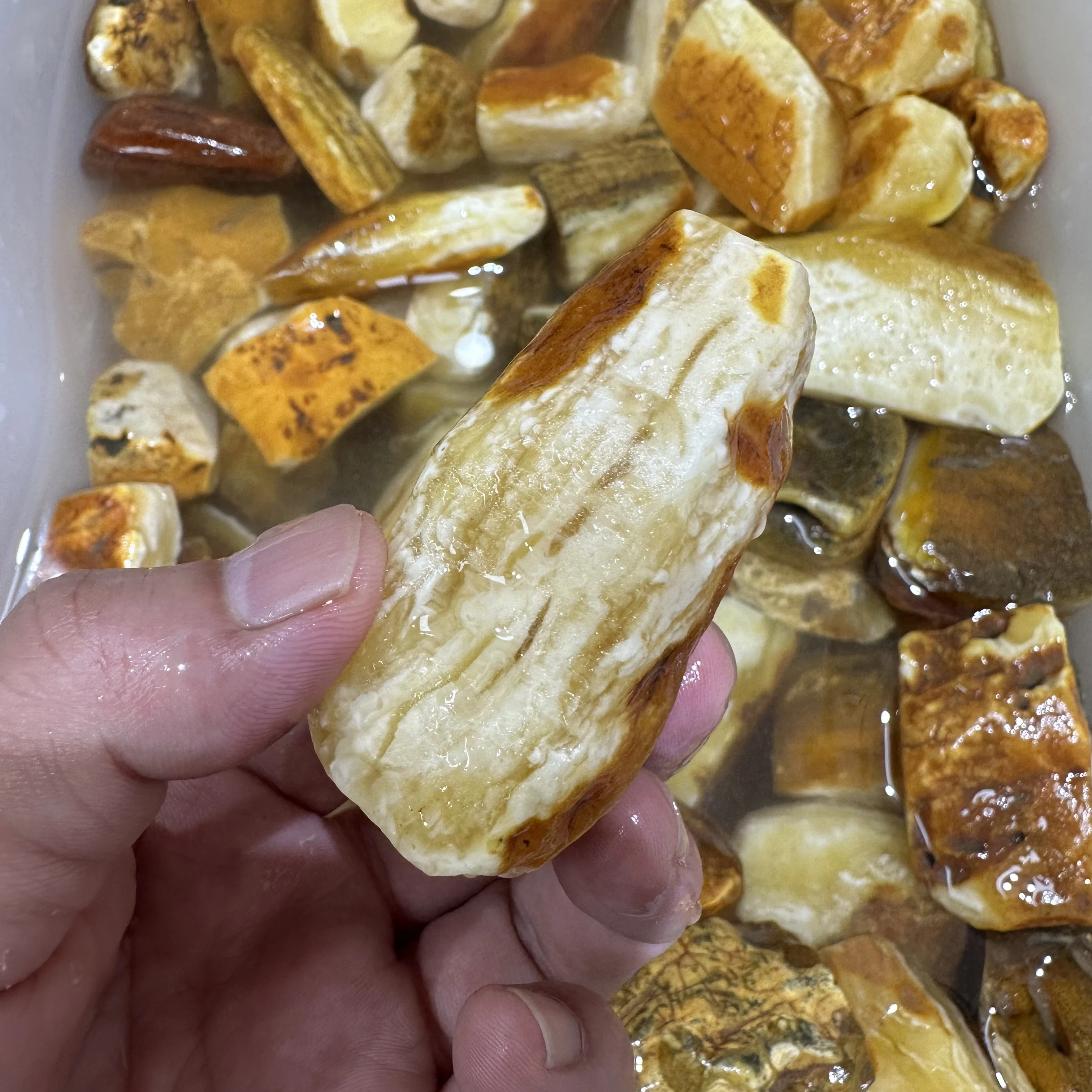 amber raw stone,tiger-white,100% natural Baltic amber