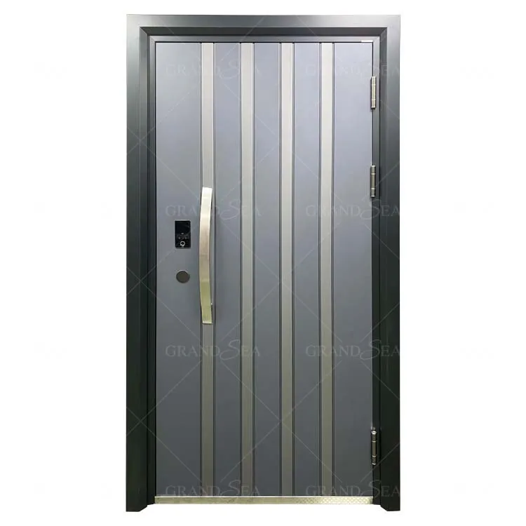 Luxury Design the Cheapest Price Metal Galvanized Security Steel Door for House