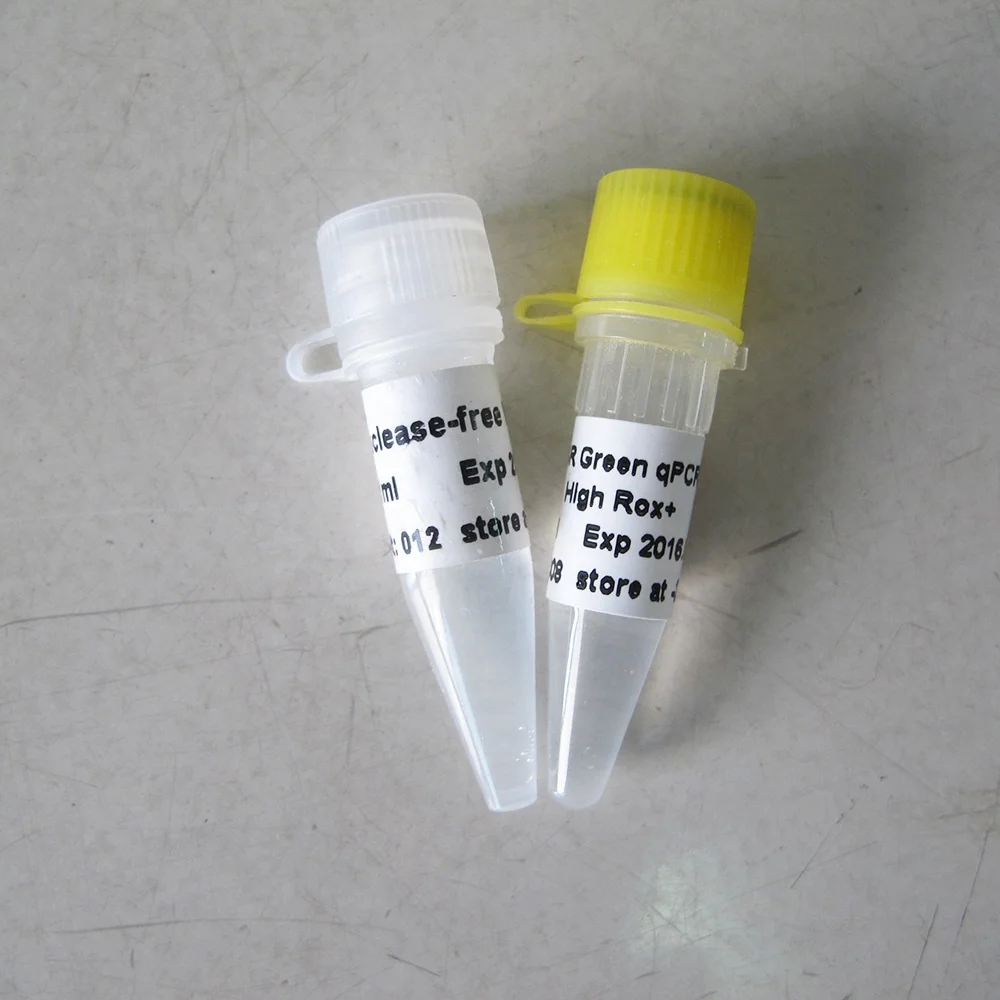 SYBR Green qPCR Mix (High Rox+), chemistry dye real time pcr, P2091b 1ml