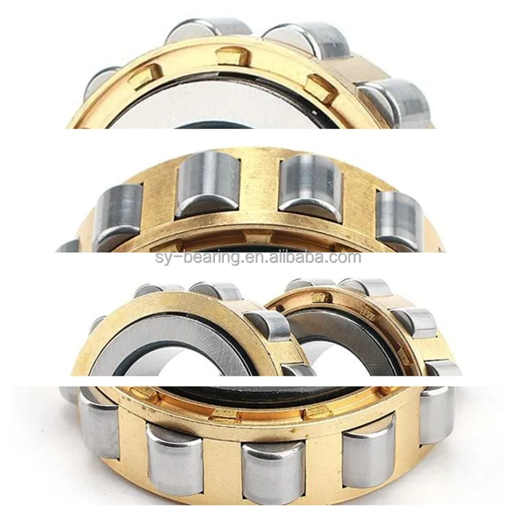 Eccentric Bearing (47)