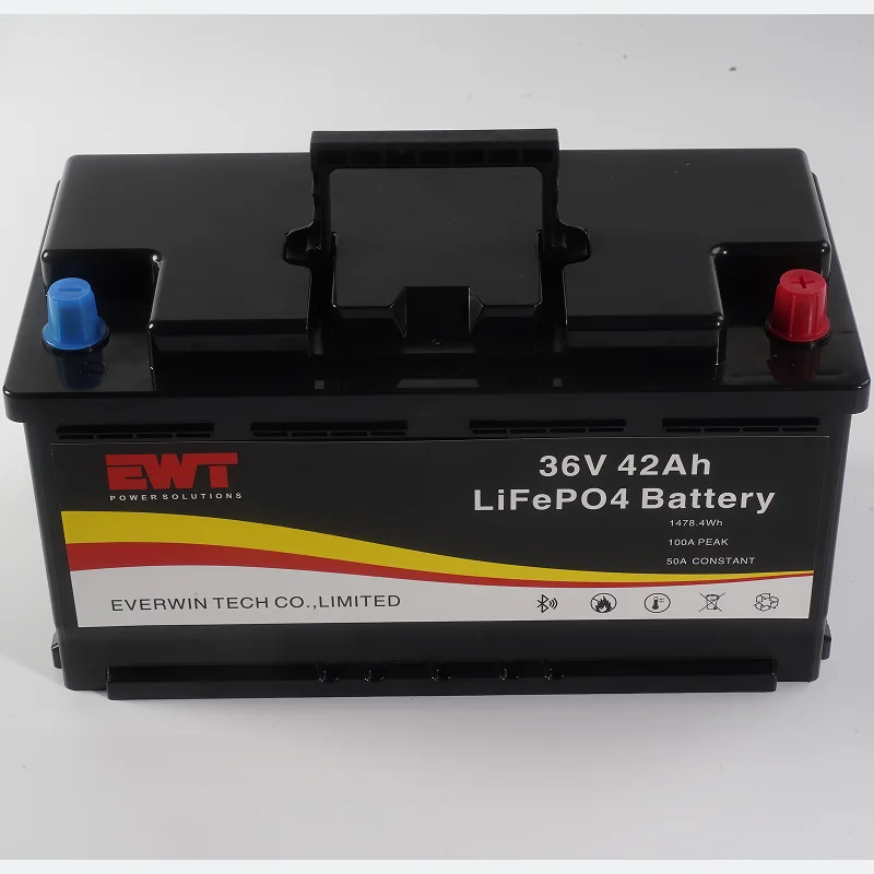 Dustproof and Waterproof 36V 42Ah Lithium LifePo4 Battery Pack Supply RV Power Equipment