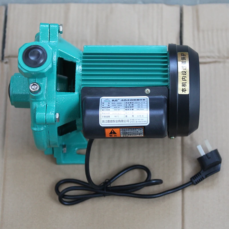 
LUDING Rud-600Eh Electrical Hot And Cold Water Centrifugal Pump For Household 