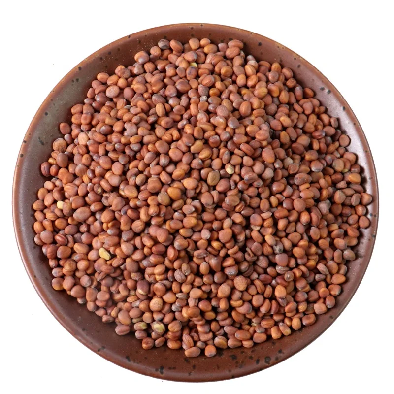 
Lai Fu Zi/Semen Raphani/Radish Seed 