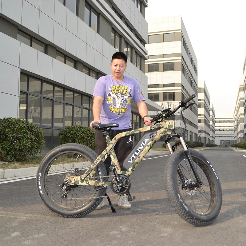 VTUVIA SN100 250W 750W mountain electric bike fat tire ebike with rear drive motor for wholesale