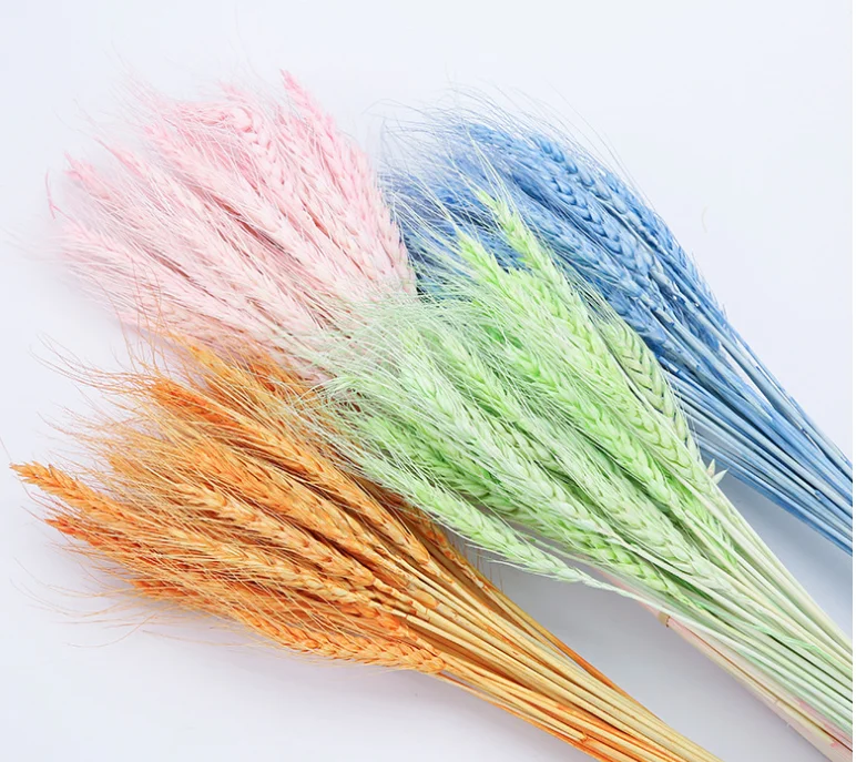 Wheat Dried Flowers for Home Decor Long-Lasting Household Item for Christmas and Halloween