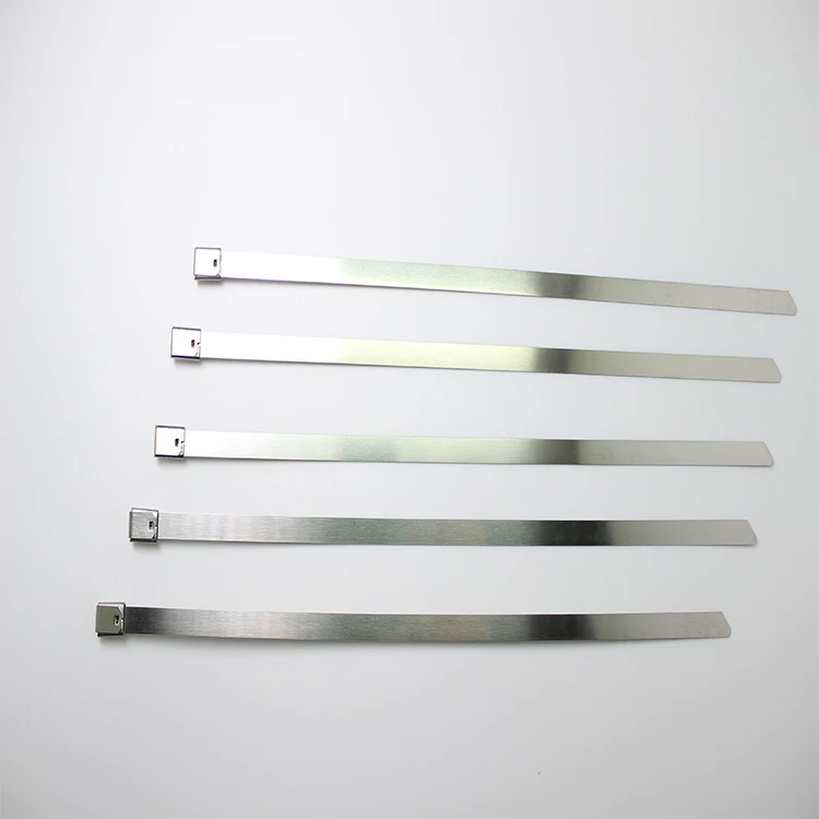
Professional Manufacturer Stainless Steel Barb Cable Tie 