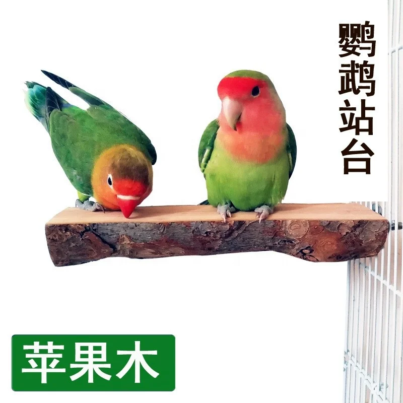 Wooden half-circle parrot jumping platform bird cage fixed bird parrot toy