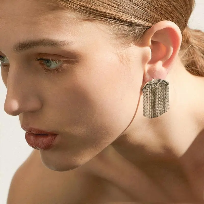 FY Fashion Jewelry Fine 925 Silver Post  Exquisite Vintage Boho Chain Linear Tassel Drop Dangling Birds Earrings For Women Men