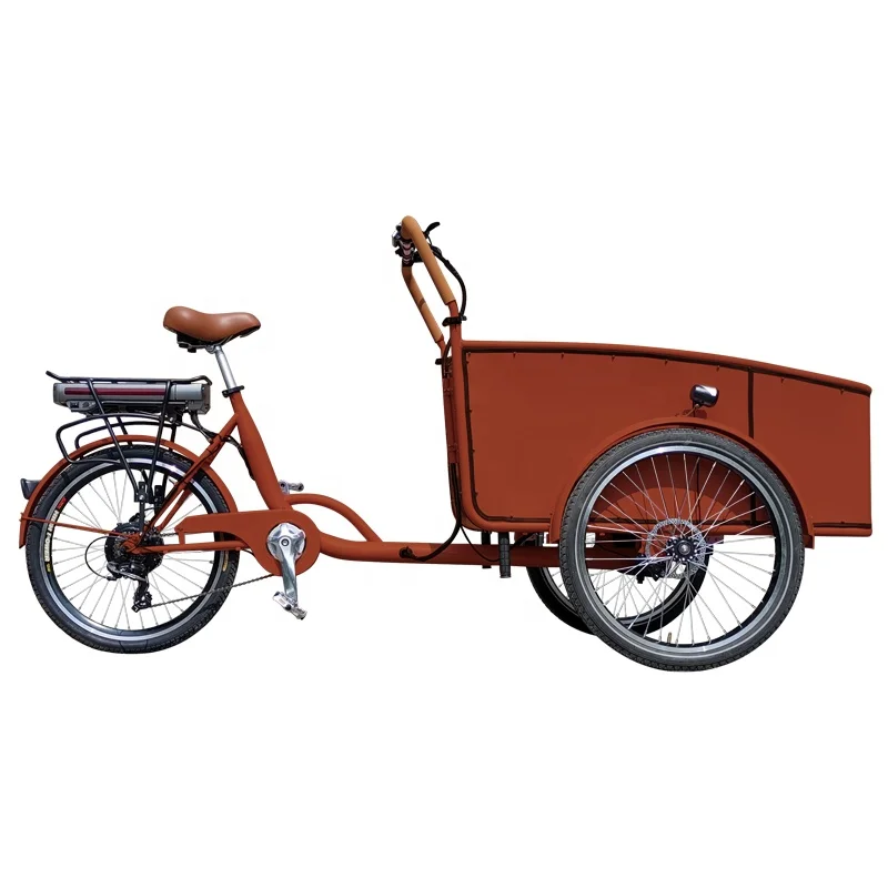 3 Wheels Electric Cargo Tricycle with Steel Frame cargo bike electric bicycle e bike cargo bicycle with child safe belts
