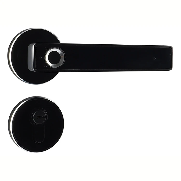 Lithium Battery Zinc Alloy Electron Fingerprint Digital Door Lock M13