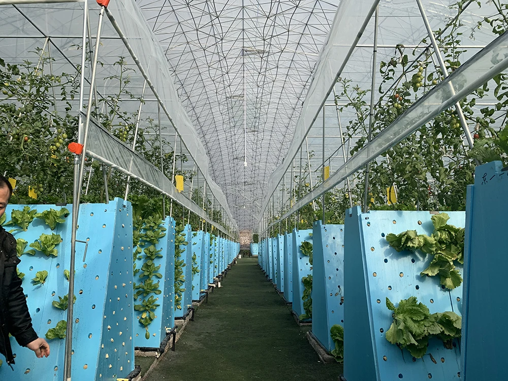 Factory Cheap Price Hydroponics Grow Kit Agricultural Ecological Garden Used Seed Plant grow Hydroponic seed sponge