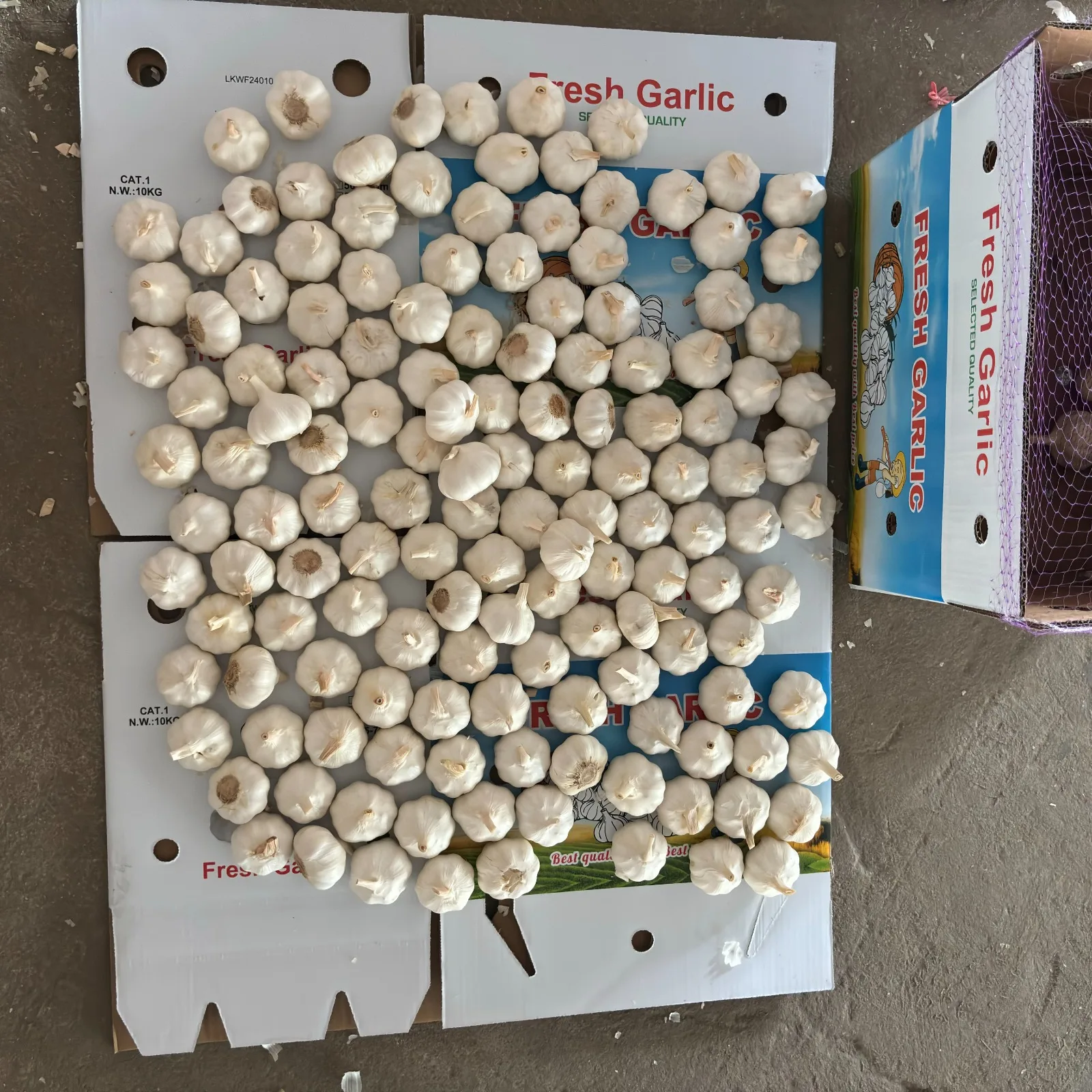 Wholesale Exclusive Import Cheap Price Sell Well New Type Guaranteed Quality Cloves Chapped Frozen Garlic Frozen food