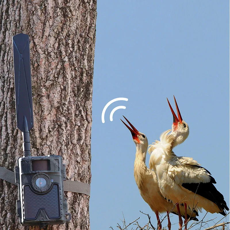 Top 10 Waterproof 24MP Night Vision Wildlife Security Hidden Camera