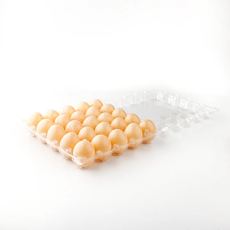 PET quail egg trays paper wholesale factory price 12 egg tray storage and transportation egg plastic tray
