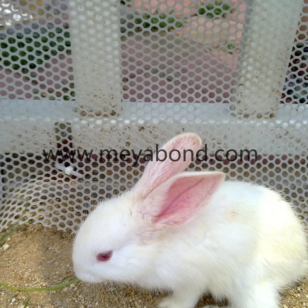 High Strength Plastic Plain net Poultry Farming Fence Poultry Netting