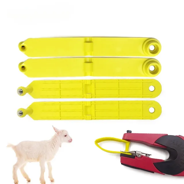 Sheep Farm  Sheep Goat Ear Tag For Sale