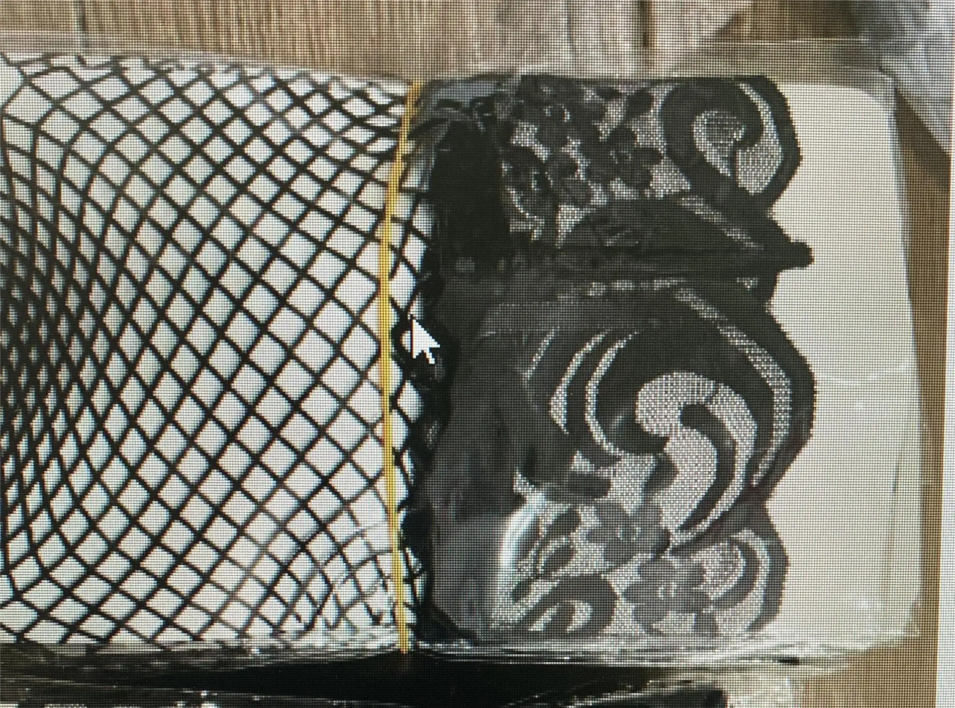 New lace hollowed out mesh stockings long tube lace over knee butterfly bow cute maid fishing net stocking