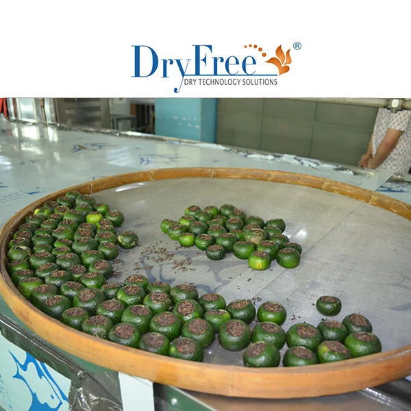 Multi Drying Line High Capacity Energy Saving Hot-Air Cycle Heat Pump Conveyor Belt Food Dryer For Factory