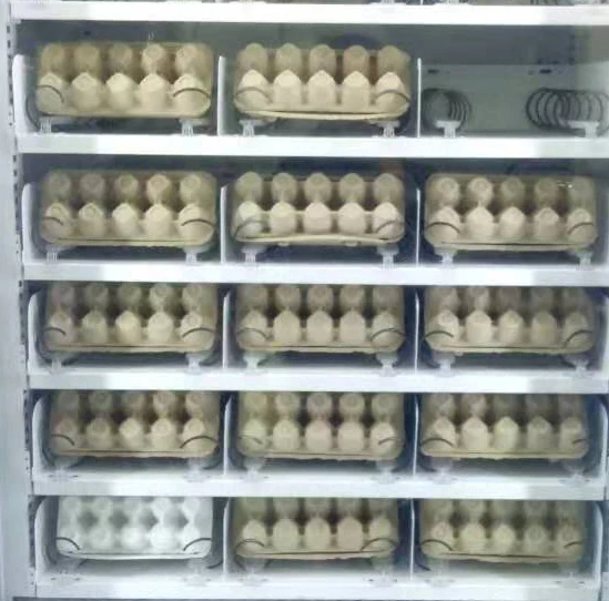 Fresh food vending machine for fruits sandwiches with lift system