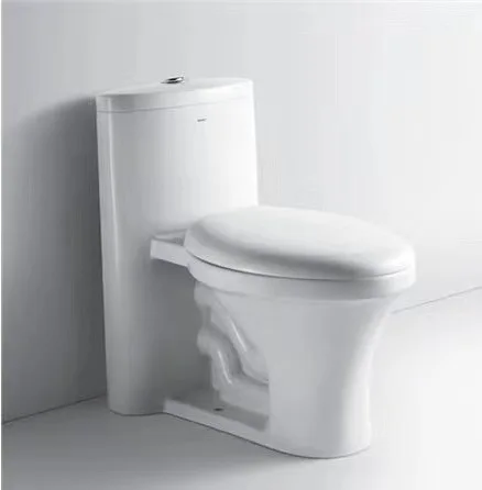 Modern Dual-Flush Colored Elongated Toilet Bowl PP Ceramic Material Floor Mounted One-Piece Set S-Trap Remote Control Home Use
