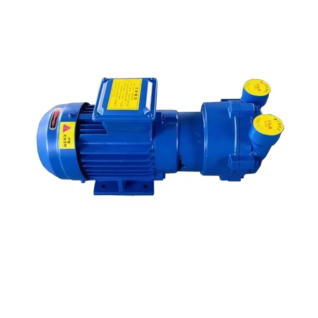 2BV2061 Water ring vacuum pump Made In China Liquid Ring Pump Factory