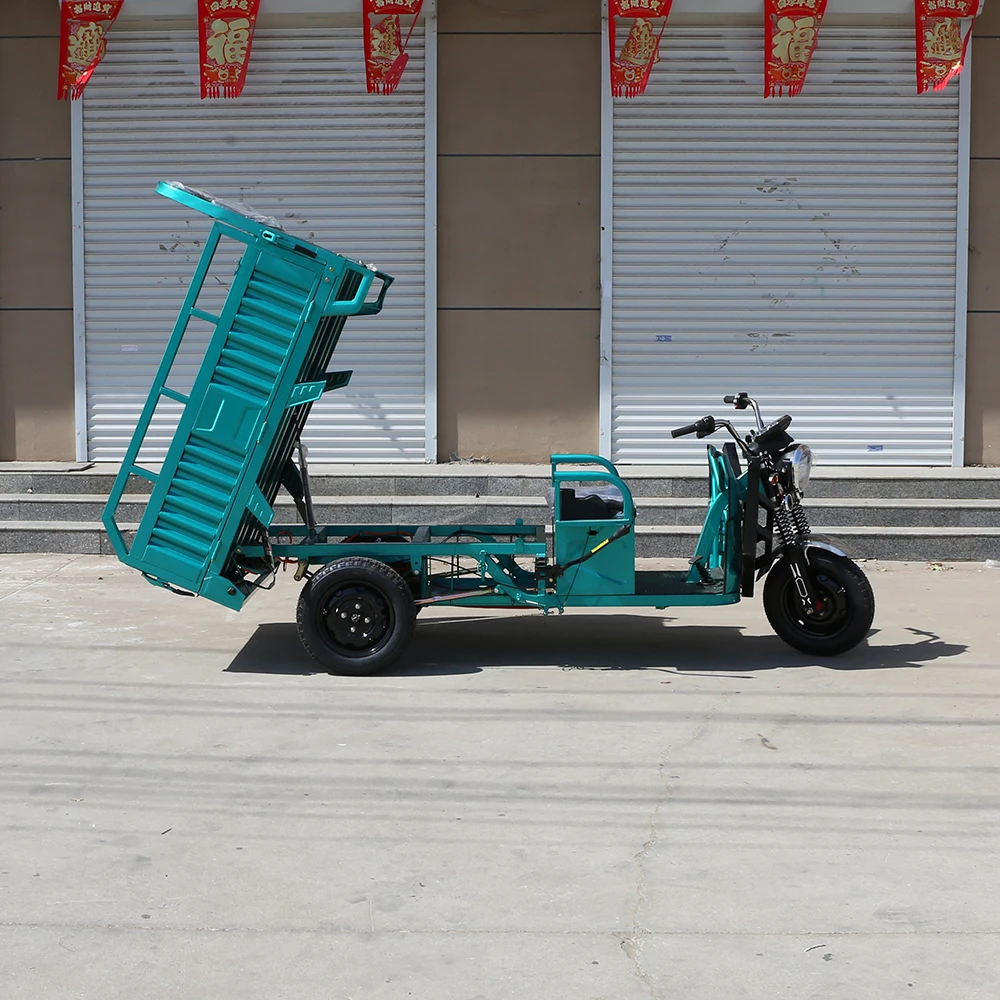 High Quality 1000W Electric Pedicab Family Use E-Trikes Electric Bike 3 Wheel Electric Tricycle With Rear Basket