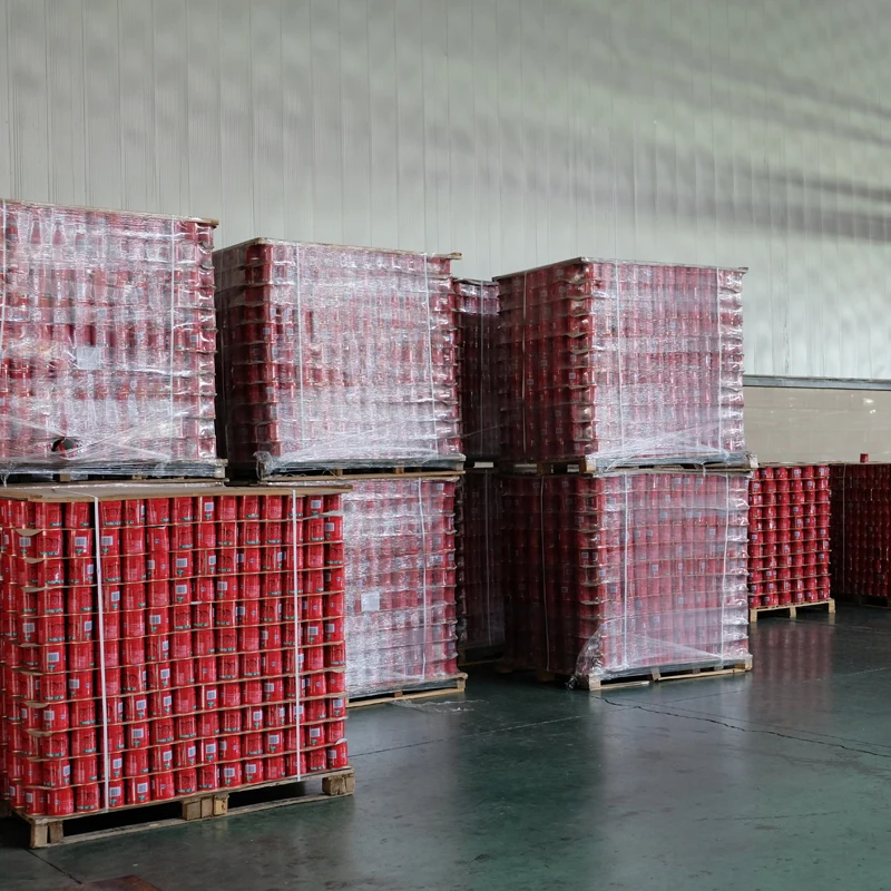 South Africa imported tomato paste Double Concentrated Brix 28-30 canned 2.2kg Tomate Paste