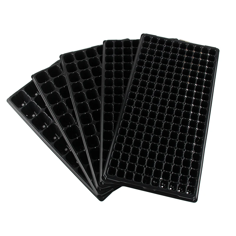 Vegetable Chili Pepper Succulent Strawberry Grow Seedling 72 Hole Tray PS Material 150g 100pcs Seedling Tray