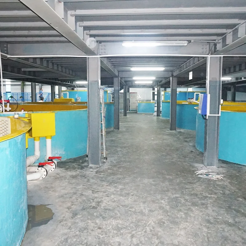 Turnkey design for indoor ras tilapia fish farm recirculating aquaculture system in India