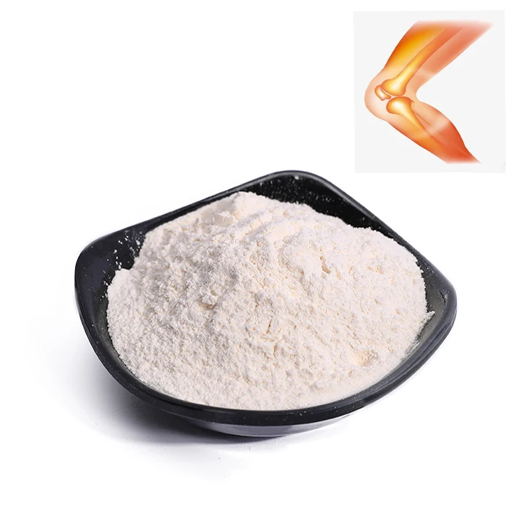 Top Quality Food Grade Marine Chondroitin Sulfate Pure Cas 9082-07-9 Chondroitin Sulfate