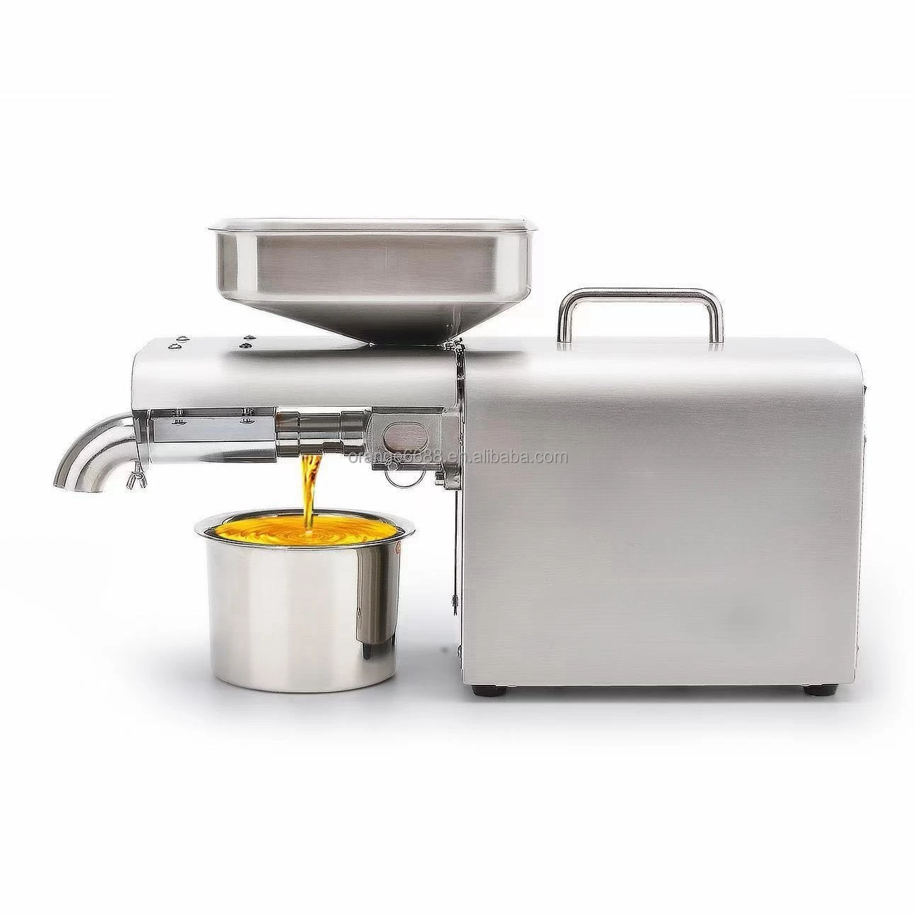 220V Home Use Mini Oil Press Machine Sunflower Seed Sesame Walnut Groundnut Oil Extractor Oil Presser