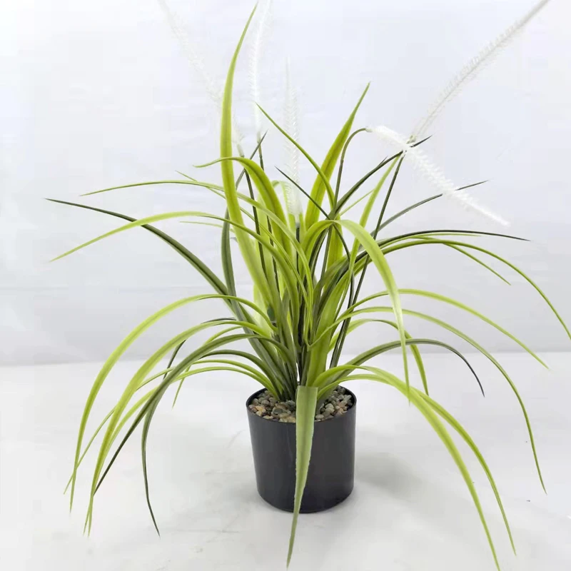 Factory direct sales of home shopping malls indoor and outdoor landscaping decoration pieces sword orchid leaf small potted