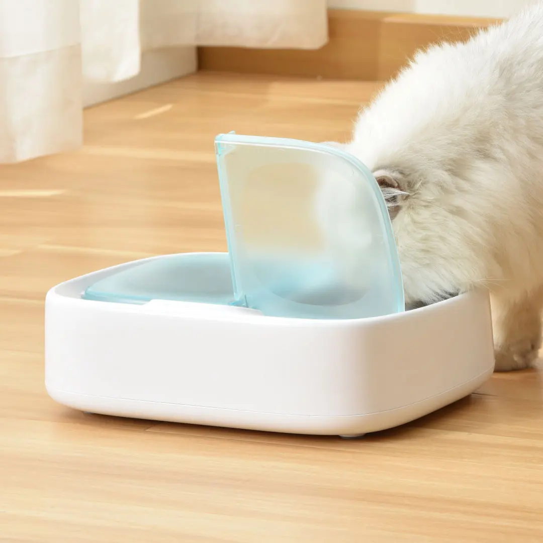 Cat and Dog Tableware, Pet Plate, Table Stand, Storage Container