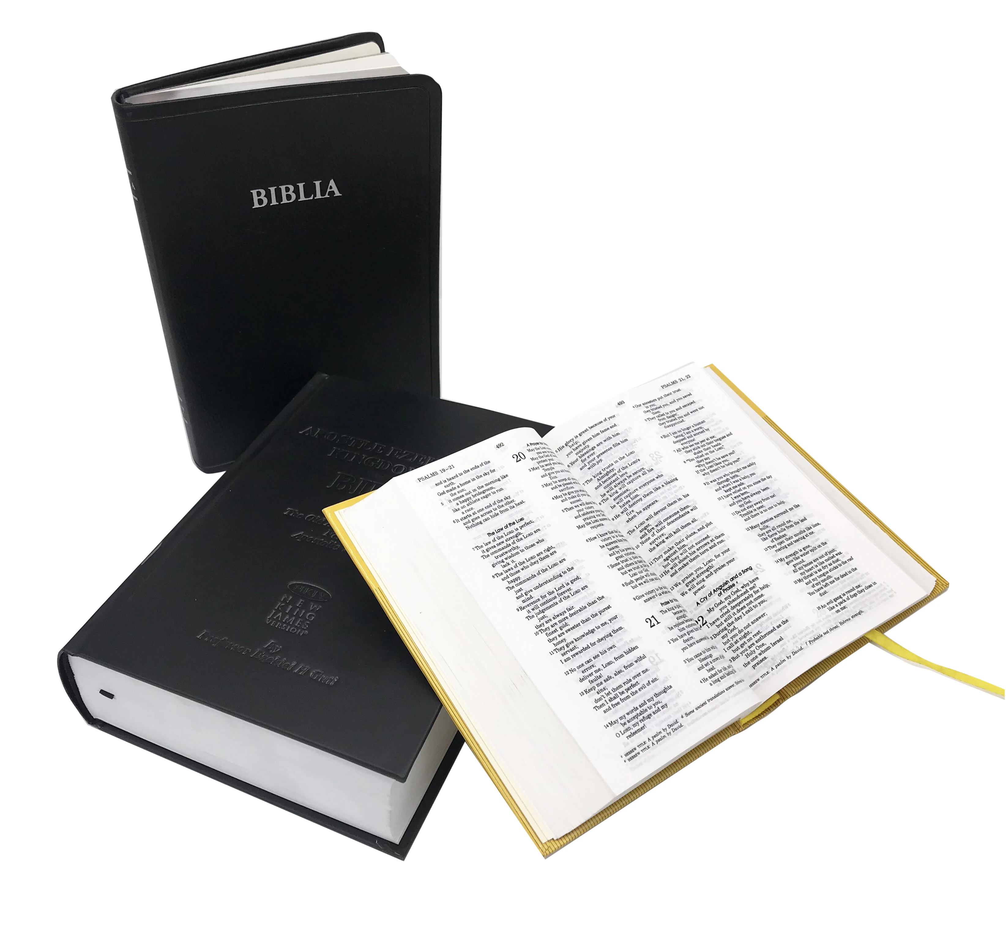 Manufacture Church Hot Stamping Embossed Hardcover Holy Bible Paper Book Printing