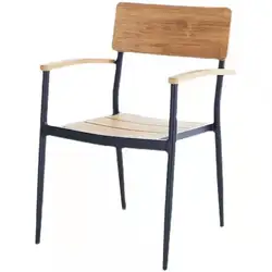 TW0101 Modern Furniture Plywood Chairs And Coffee Shop tables and chairs Leisure Plastic wooden Chair